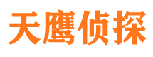 内乡私家侦探公司